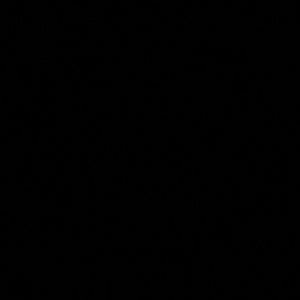 Meet your Posher, Ava